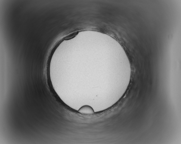 X0000096400006200802211213