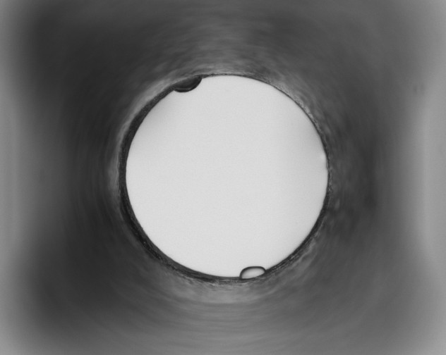 X0000096400008200802211213