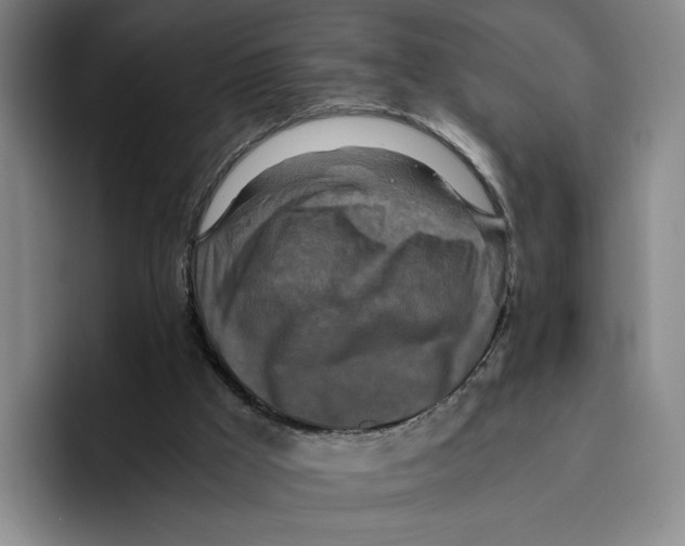 X0000096400009200802211213