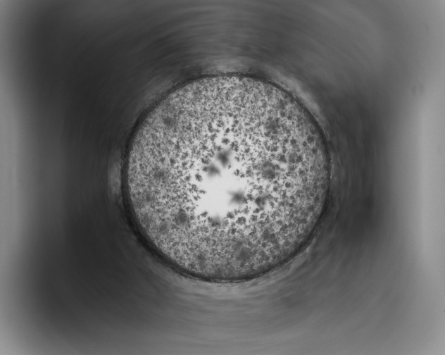 X0000096400010200802211213