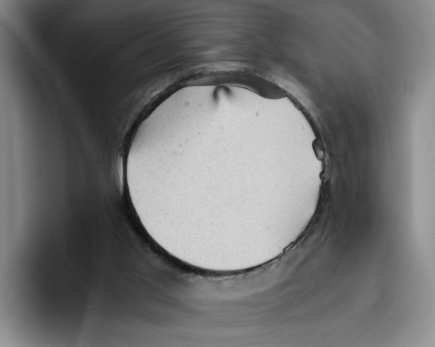 X0000096400013200802211213