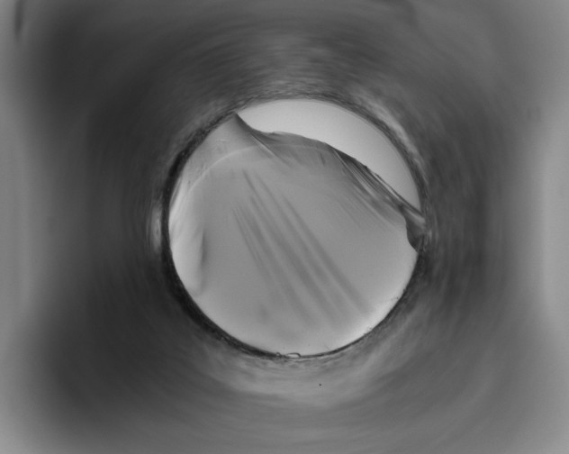 X0000096400019200802211213