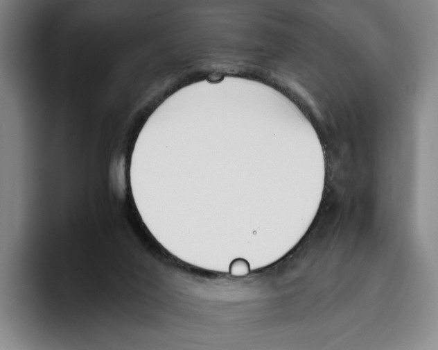 X0000096400020200802211213