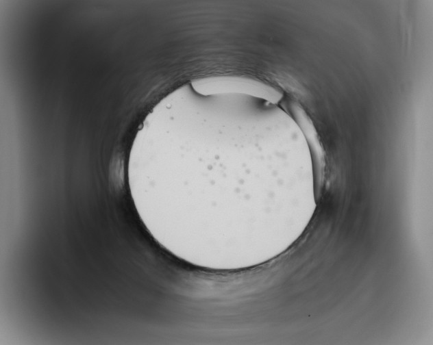 X0000096400021200802211213