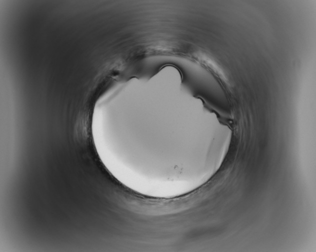 X0000096400023200802211213