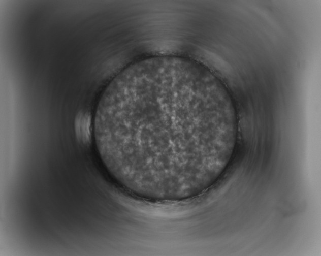 X0000096400024200802211213