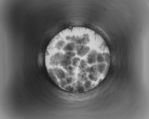 X0000096400026200802211213