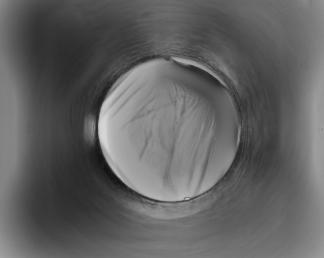 X0000096400027200802211213