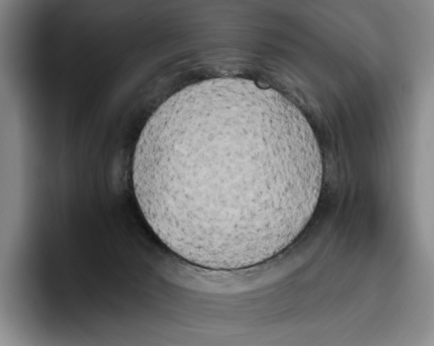 X0000096400030200802211213