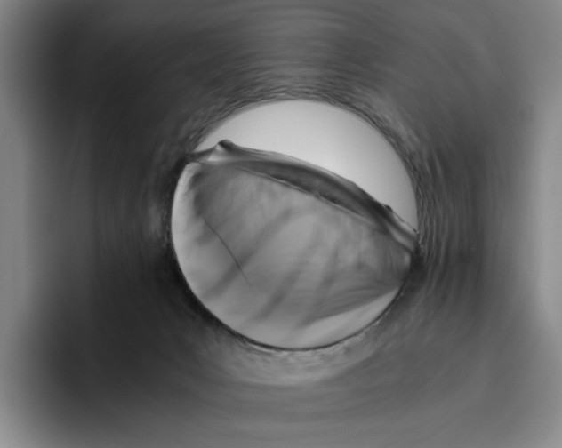 X0000096400031200802211213