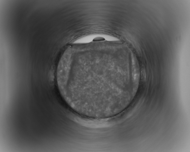 X0000096400032200802211213