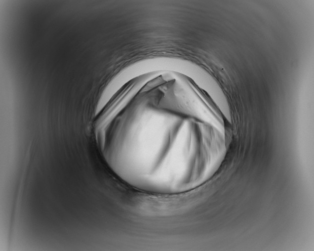 X0000096400033200802211213