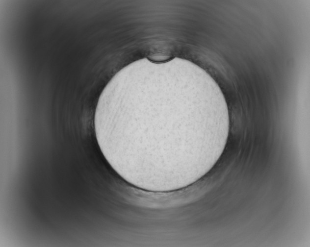 X0000096400034200802211213