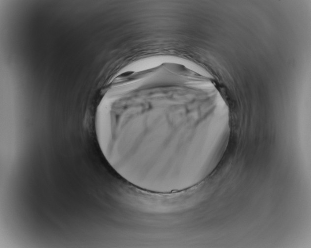 X0000096400035200802211213