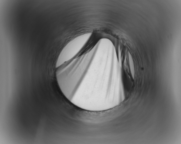 X0000096400037200802211213