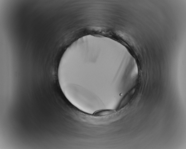 X0000096400039200802211213