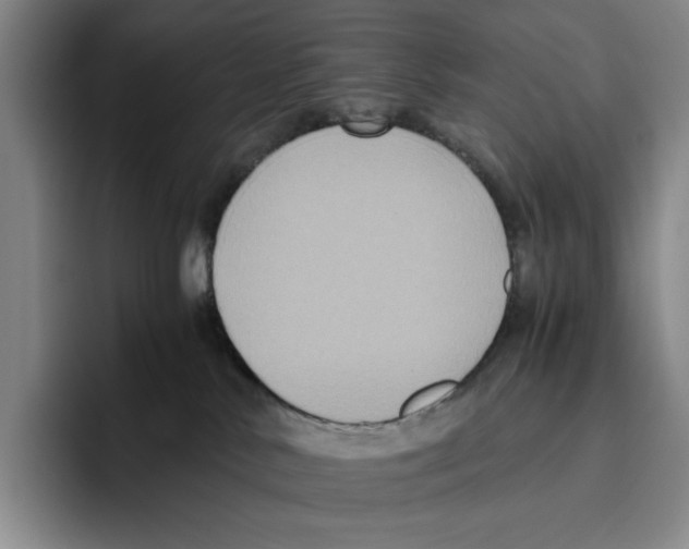 X0000096400042200802211213