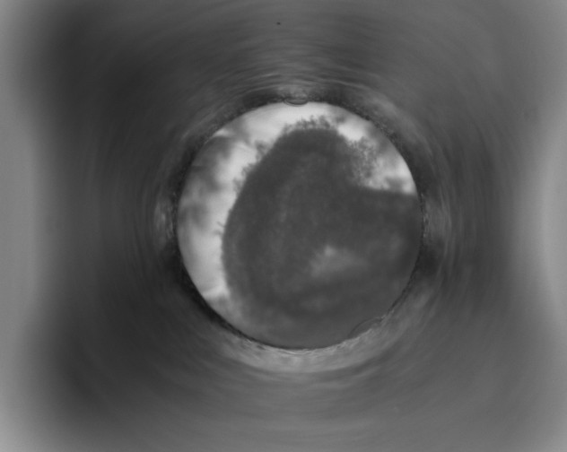 X0000096400043200802211213