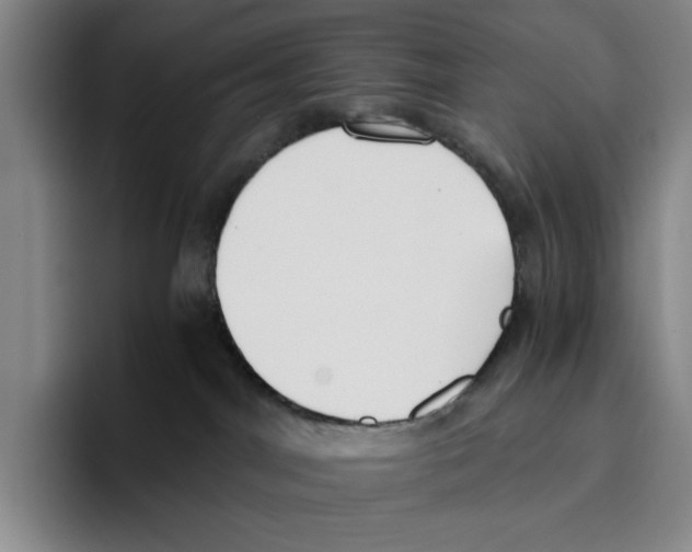 X0000096400044200802211213