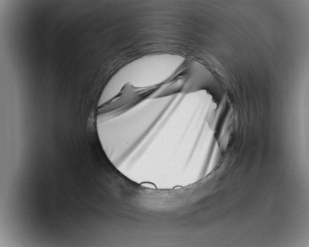 X0000096400045200802211213