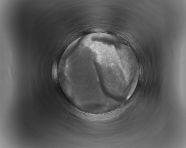 X0000096400046200802211213