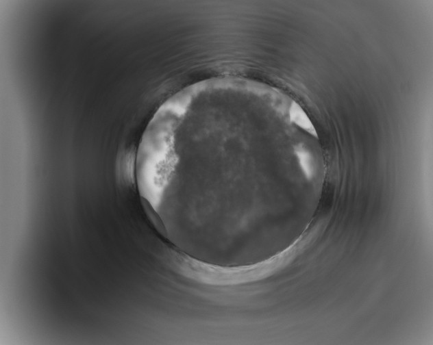 X0000096400047200802211213