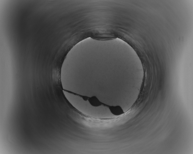 X0000096400048200802211213