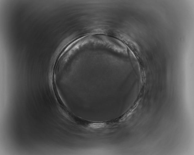 X0000096400051200802211212