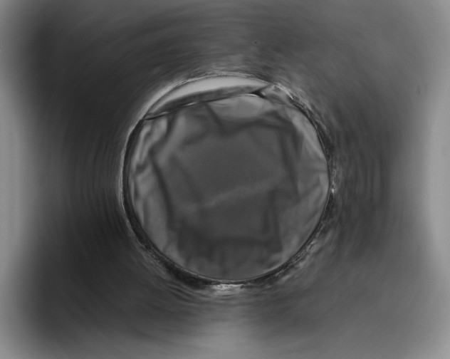 X0000096400052200802211212