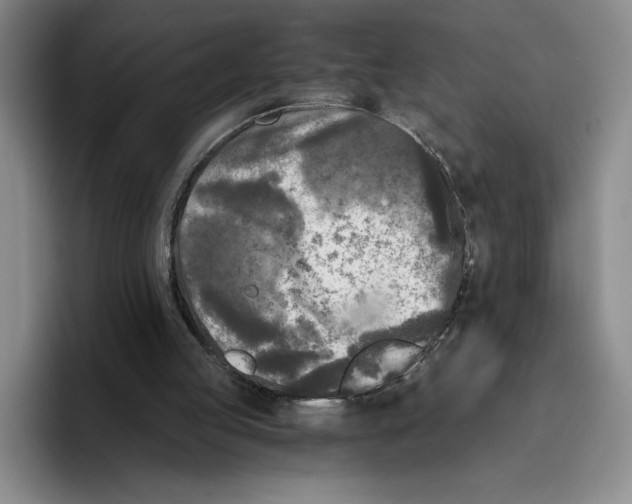 X0000096400053200802211212