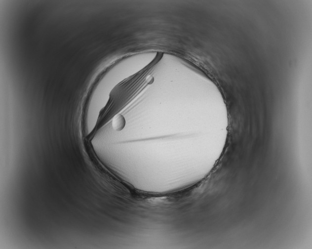 X0000096400054200802211212