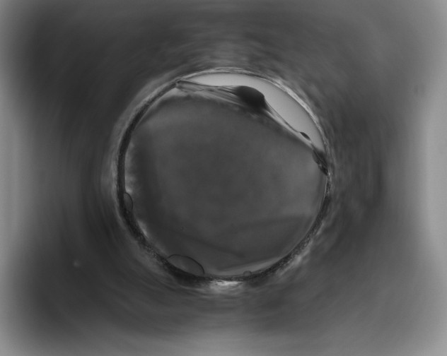 X0000096400055200802211212