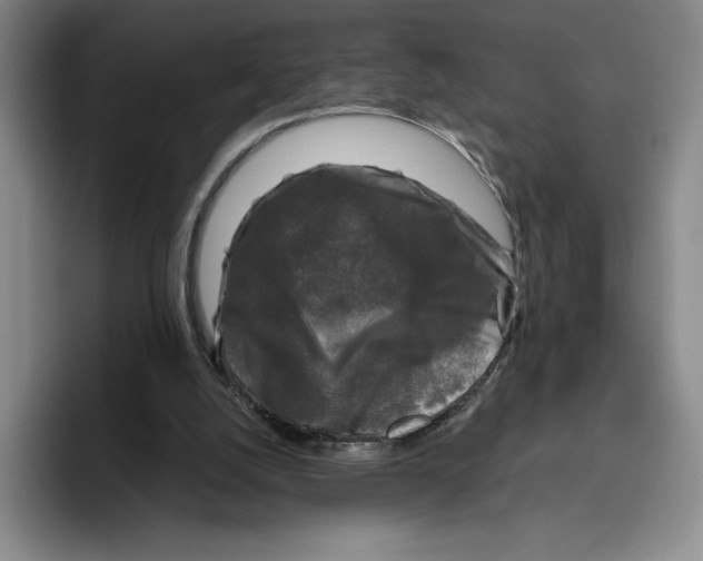 X0000096400056200802211212