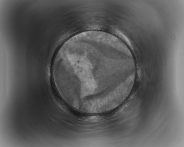 X0000096400059200802211212