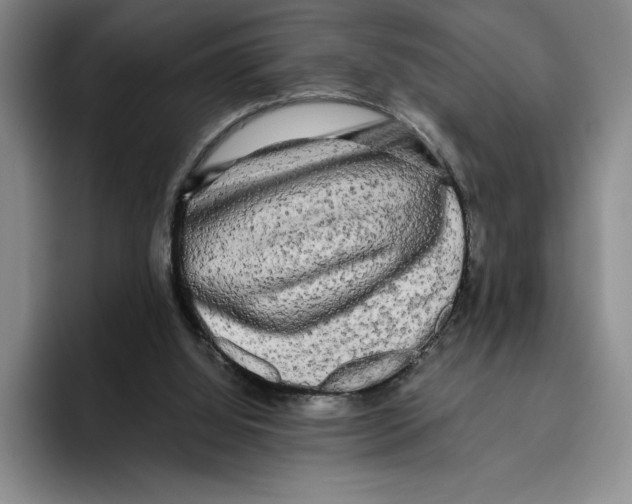 X0000096400060200802211212