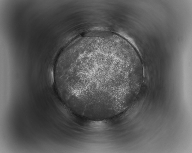 X0000096400061200802211212