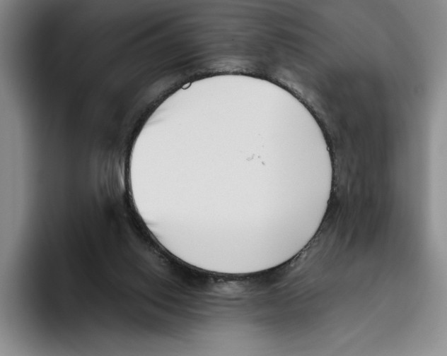 X0000096400062200802211212