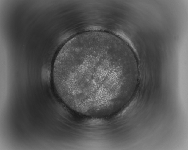 X0000096400063200802211212