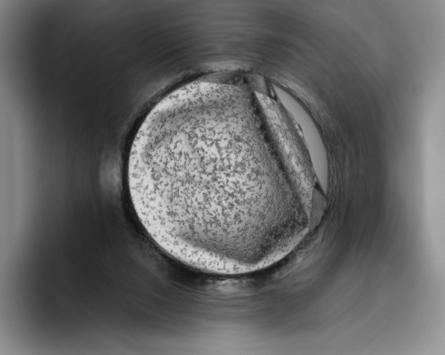 X0000096400064200802211212