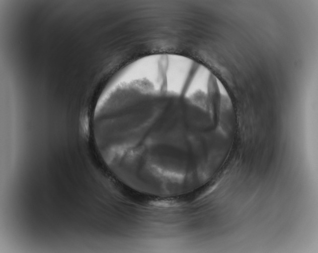 X0000096400067200802211212