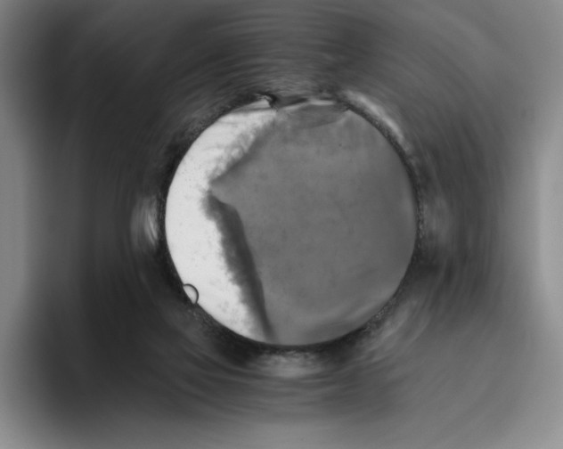 X0000096400069200802211212