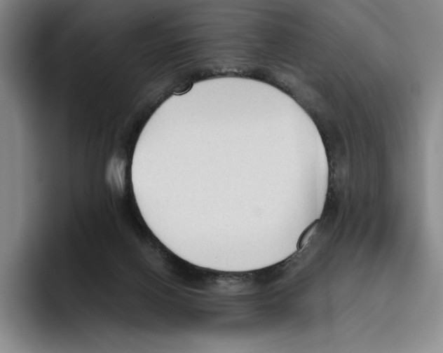 X0000096400070200802211212