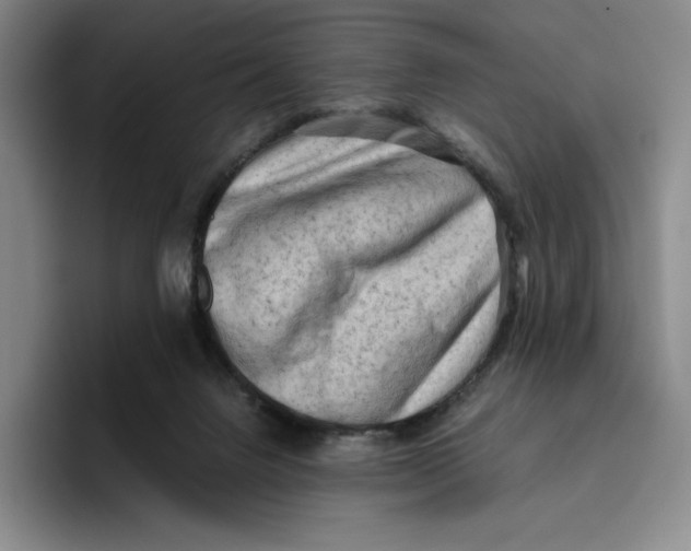 X0000096400072200802211212