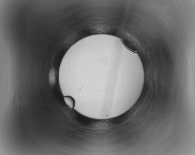 X0000096400075200802211212