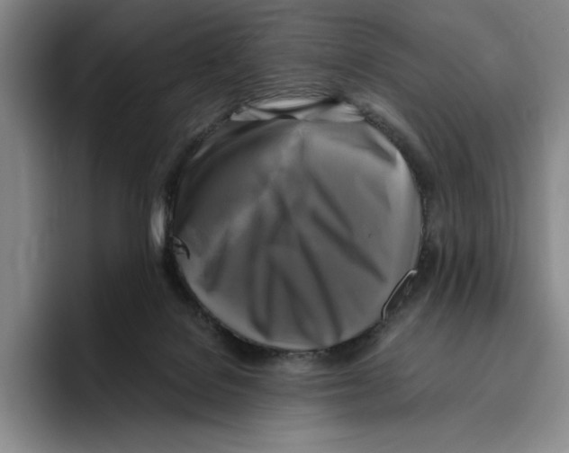 X0000096400076200802211213