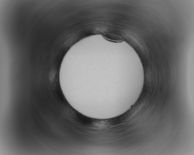 X0000096400079200802211213