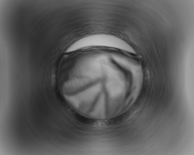 X0000096400080200802211213