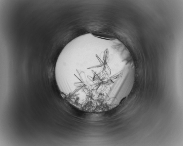 X0000096400081200802211213