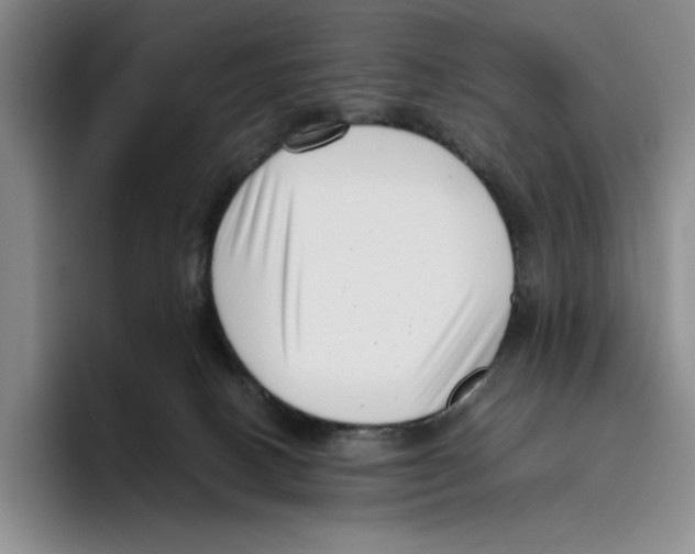 X0000096400082200802211213