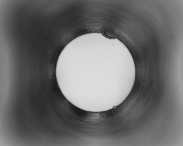 X0000096400083200802211213